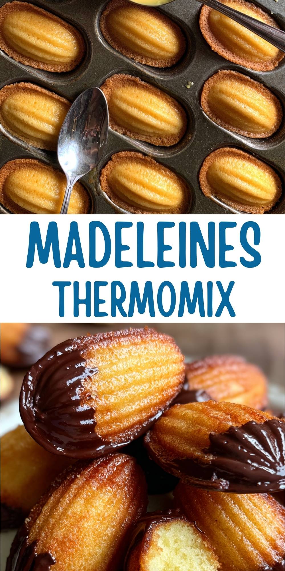 Gros plan sur des madeleines maison nappées de chocolat noir brillant.