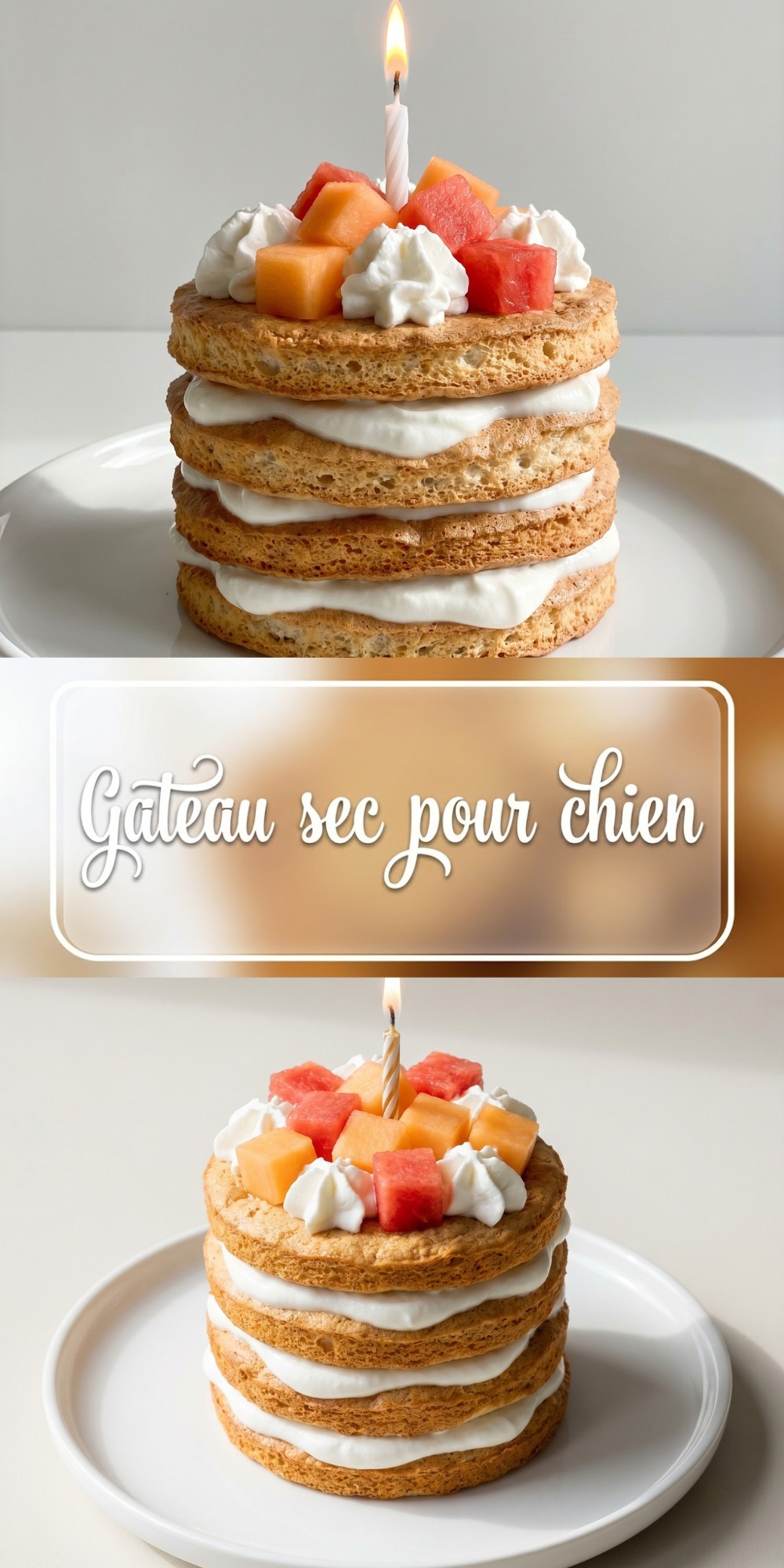 Montage photo montrant les étapes et le résultat final d'un gateau sec pour chien aux fruits.